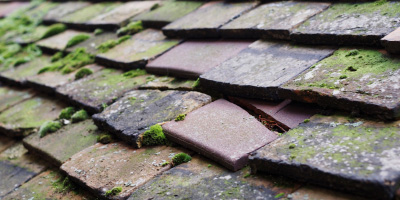 Church Stretton roof repair costs